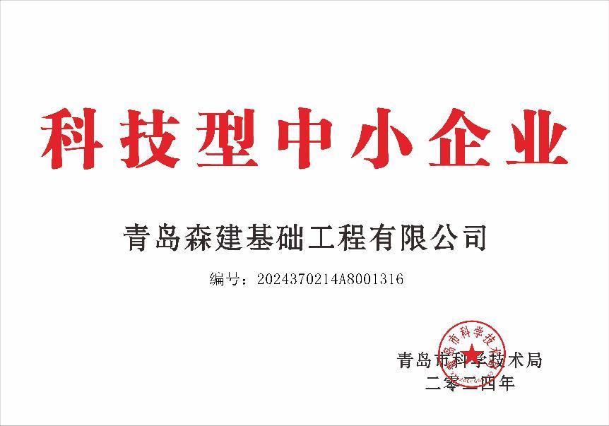 科技型中小企業(yè)